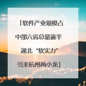 软件产业规模占中部六省总量逾半 湖北“软实力”引来杭州两小龙