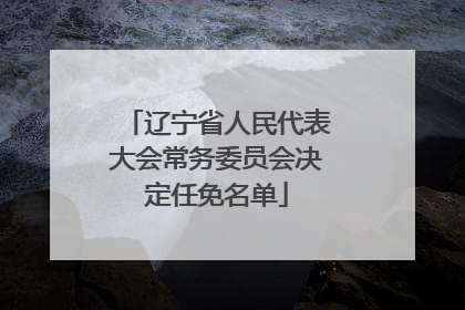 辽宁省人民代表大会常务委员会决定任免名单