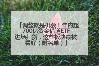 调整就是机会！年内超700亿资金借道ETF进场扫货，这些板块最被看好（附名单）