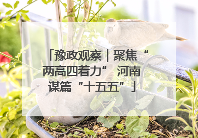 豫政观察｜聚焦“两高四着力” 河南谋篇“十五五”