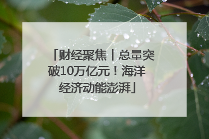 财经聚焦丨总量突破10万亿元！海洋经济动能澎湃