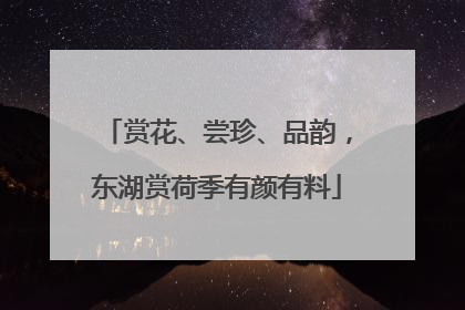 赏花、尝珍、品韵，东湖赏荷季有颜有料