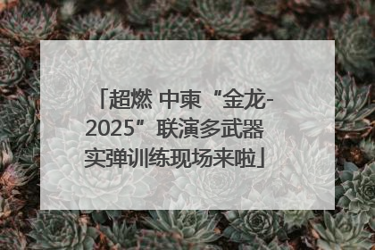 超燃 中柬“金龙-2025”联演多武器实弹训练现场来啦