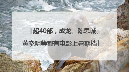 超40部，成龙、陈思诚、黄晓明等都有电影上暑期档