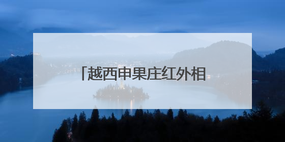 越西申果庄红外相机再次拍到大熊猫
