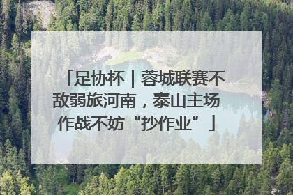 足协杯｜蓉城联赛不敌弱旅河南，泰山主场作战不妨“抄作业”