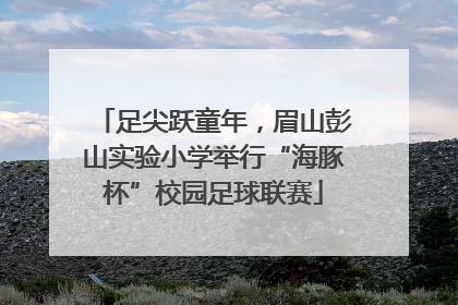 足尖跃童年，眉山彭山实验小学举行“海豚杯”校园足球联赛