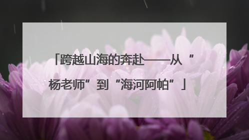 跨越山海的奔赴——从“杨老师”到“海河阿帕”