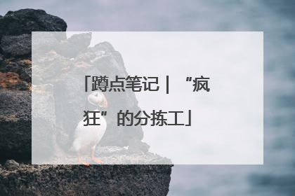 蹲点笔记｜“疯狂”的分拣工