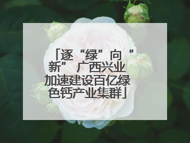 逐“绿”向“新” 广西兴业加速建设百亿绿色钙产业集群