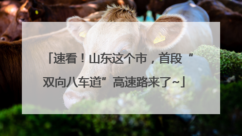 速看！山东这个市，首段“双向八车道”高速路来了~