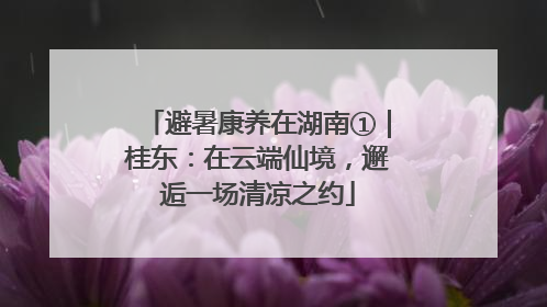 避暑康养在湖南①｜桂东：在云端仙境，邂逅一场清凉之约