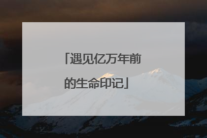 遇见亿万年前的生命印记
