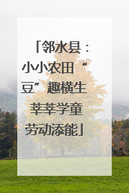 邻水县：小小农田“豆”趣横生 莘莘学童劳动添能