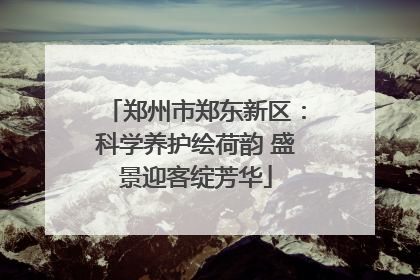 郑州市郑东新区：科学养护绘荷韵 盛景迎客绽芳华