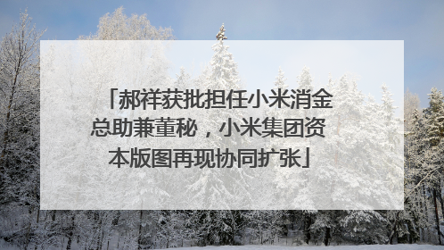 郝祥获批担任小米消金总助兼董秘，小米集团资本版图再现协同扩张