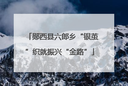 郧西县六郎乡“银茧”织就振兴“金路”