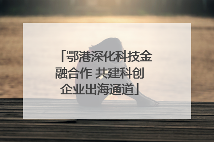 鄂港深化科技金融合作 共建科创企业出海通道