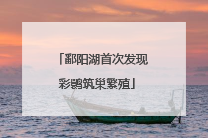 鄱阳湖首次发现彩鹮筑巢繁殖