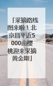 采摘路线图来啦！北京昌平近5000亩樱桃迎来采摘黄金期
