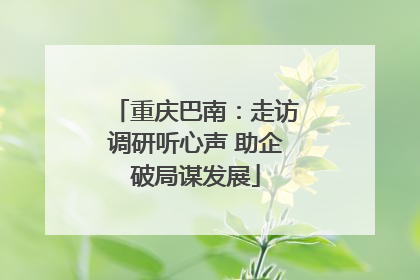 重庆巴南：走访调研听心声 助企破局谋发展