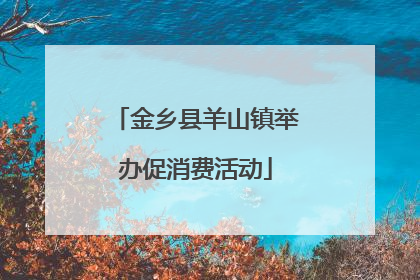 金乡县羊山镇举办促消费活动