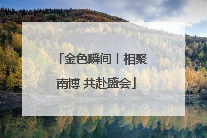 金色瞬间丨相聚南博 共赴盛会