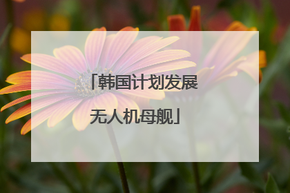 韩国计划发展无人机母舰