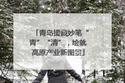 青岛援藏妙笔“青”“清”，绘就高原产业新图景