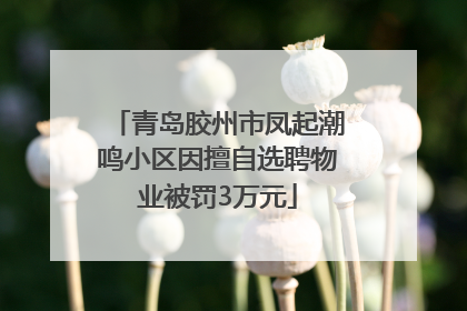 青岛胶州市凤起潮鸣小区因擅自选聘物业被罚3万元