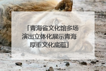 青海省文化馆多场演出立体化展示青海厚重文化底蕴