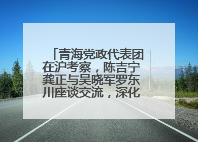 青海党政代表团在沪考察，陈吉宁龚正与吴晓军罗东川座谈交流，深化合作对接