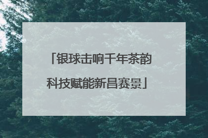 银球击响千年茶韵 科技赋能新昌赛景