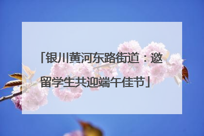银川黄河东路街道：邀留学生共迎端午佳节