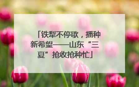 铁犁不停歇，播种新希望——山东“三夏”抢收抢种忙