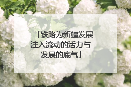 铁路为新疆发展注入流动的活力与发展的底气
