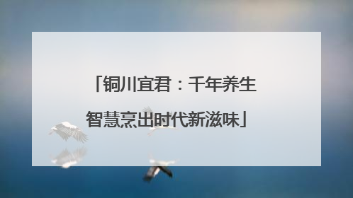 铜川宜君：千年养生智慧烹出时代新滋味
