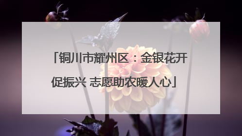 铜川市耀州区：金银花开促振兴 志愿助农暖人心