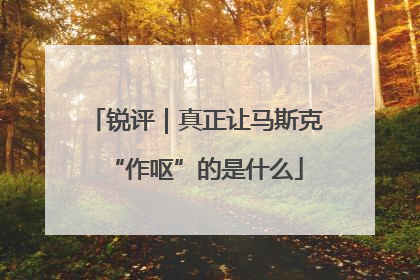 锐评｜真正让马斯克“作呕”的是什么