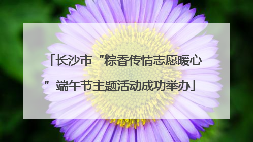 长沙市“粽香传情志愿暖心”端午节主题活动成功举办