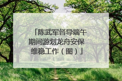 陈武军督导端午期间游划龙舟安保维稳工作（图）