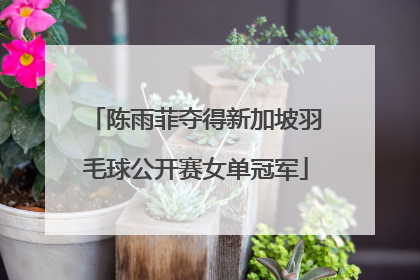 陈雨菲夺得新加坡羽毛球公开赛女单冠军