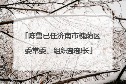 陈鲁已任济南市槐荫区委常委、组织部部长