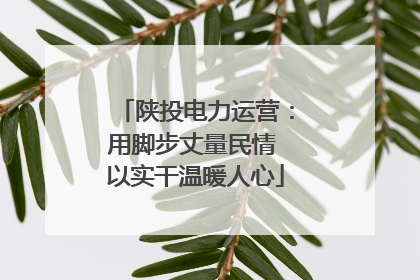 陕投电力运营：用脚步丈量民情 以实干温暖人心