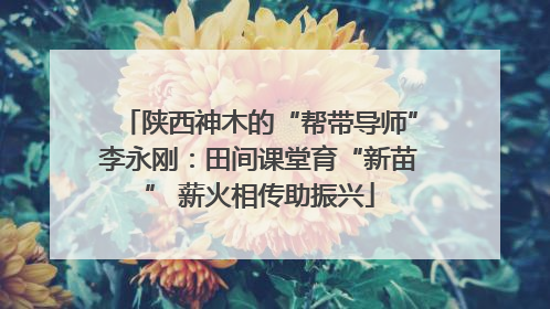 陕西神木的“帮带导师”李永刚：田间课堂育“新苗” 薪火相传助振兴