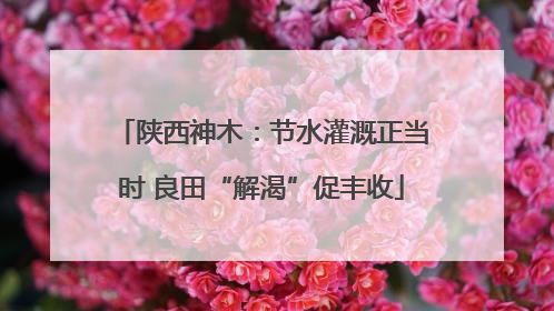 陕西神木：节水灌溉正当时 良田“解渴”促丰收