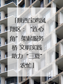 陕西宝鸡凤翔区：“连心角”架起服务桥 文明实践助力“三夏”农忙