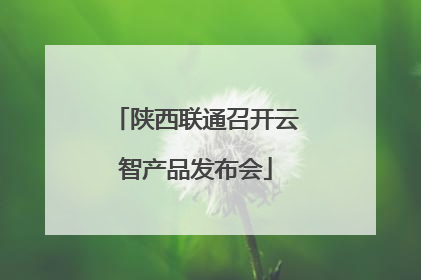 陕西联通召开云智产品发布会