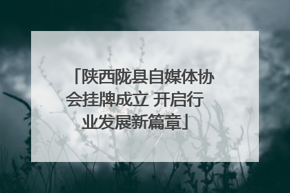 陕西陇县自媒体协会挂牌成立 开启行业发展新篇章
