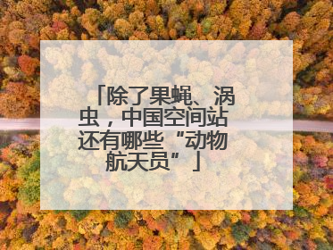 除了果蝇、涡虫，中国空间站还有哪些“动物航天员”